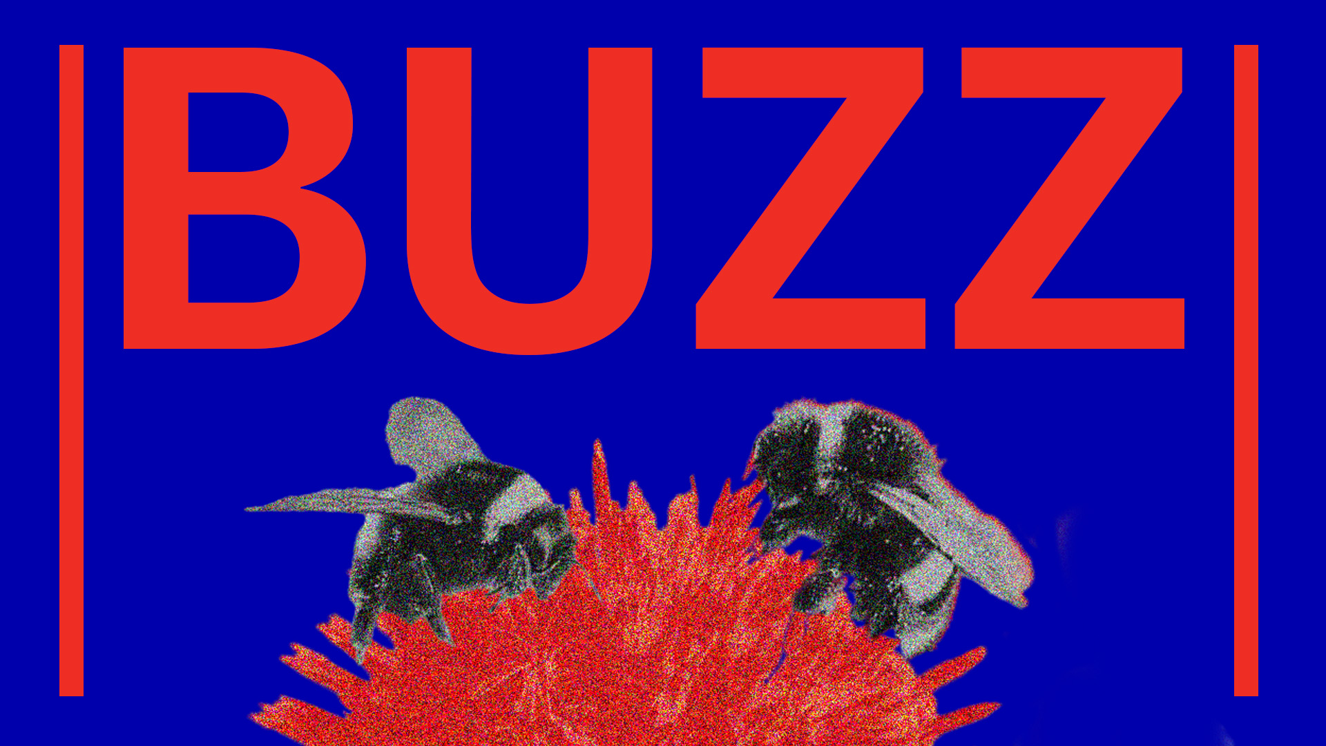 【BUZZページ】 Buzz_banner-1.jpg