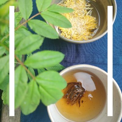 Top-down photo of a plant with green leaves fluttering over two cups of tea on a blue table.